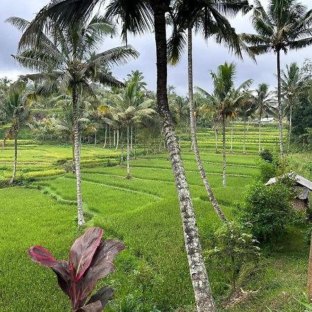 Mysha Guest House-Lombok تيتيباتو المظهر الخارجي الصورة