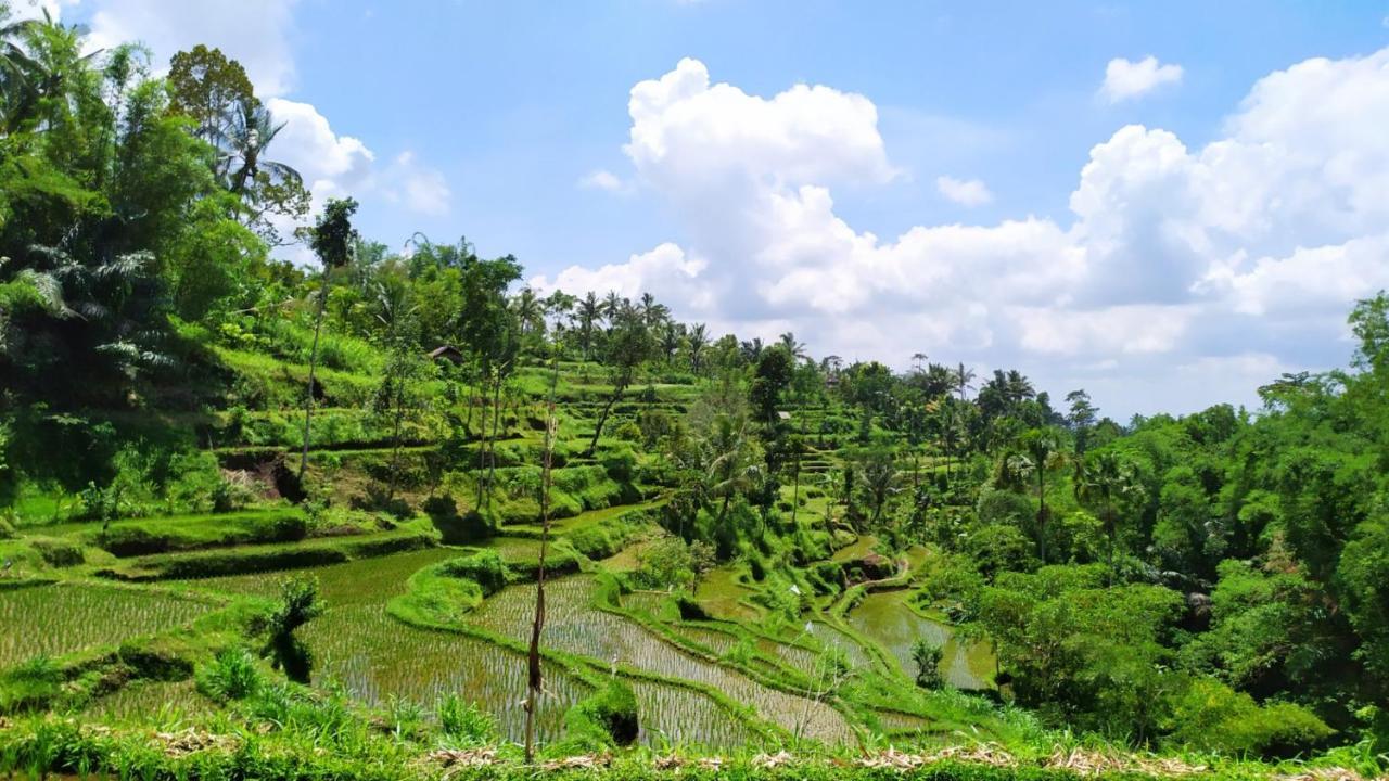 Mysha Guest House-Lombok تيتيباتو المظهر الخارجي الصورة