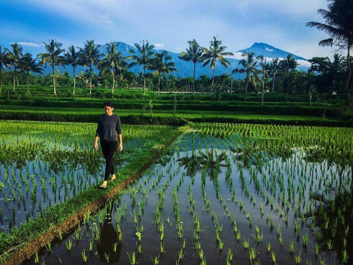 Mysha Guest House-Lombok تيتيباتو المظهر الخارجي الصورة