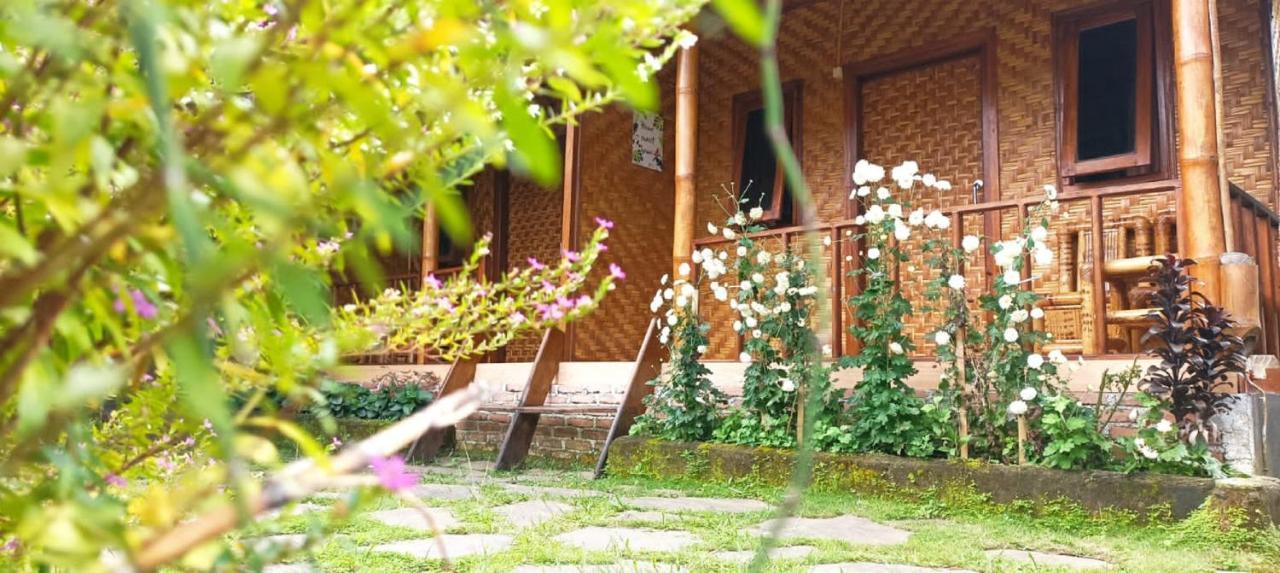 Mysha Guest House-Lombok تيتيباتو المظهر الخارجي الصورة