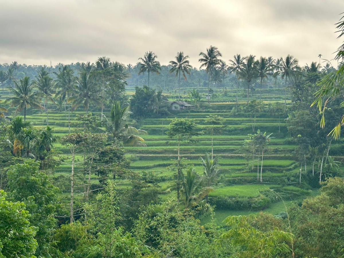 Mysha Guest House-Lombok تيتيباتو المظهر الخارجي الصورة