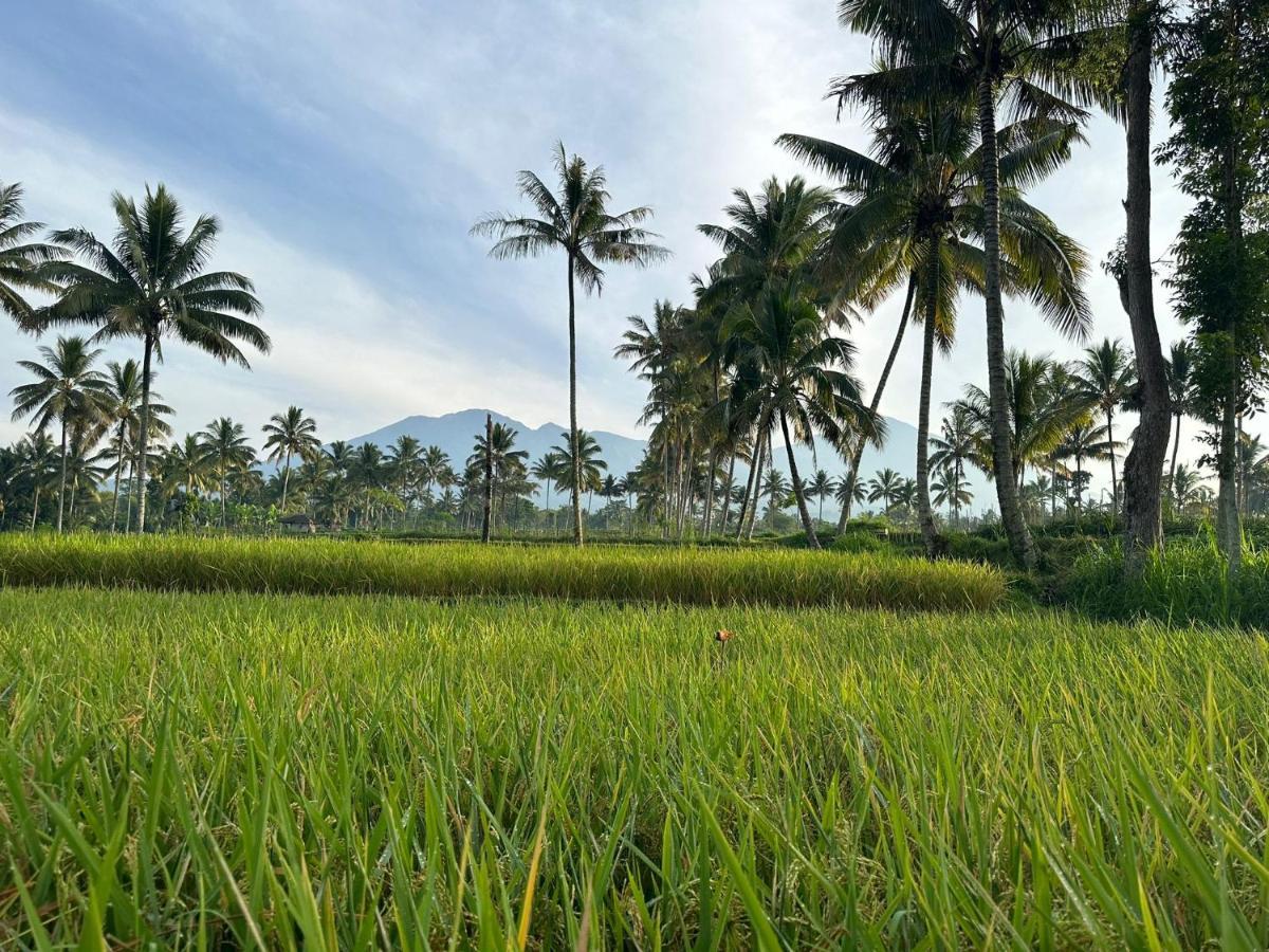 Mysha Guest House-Lombok تيتيباتو المظهر الخارجي الصورة