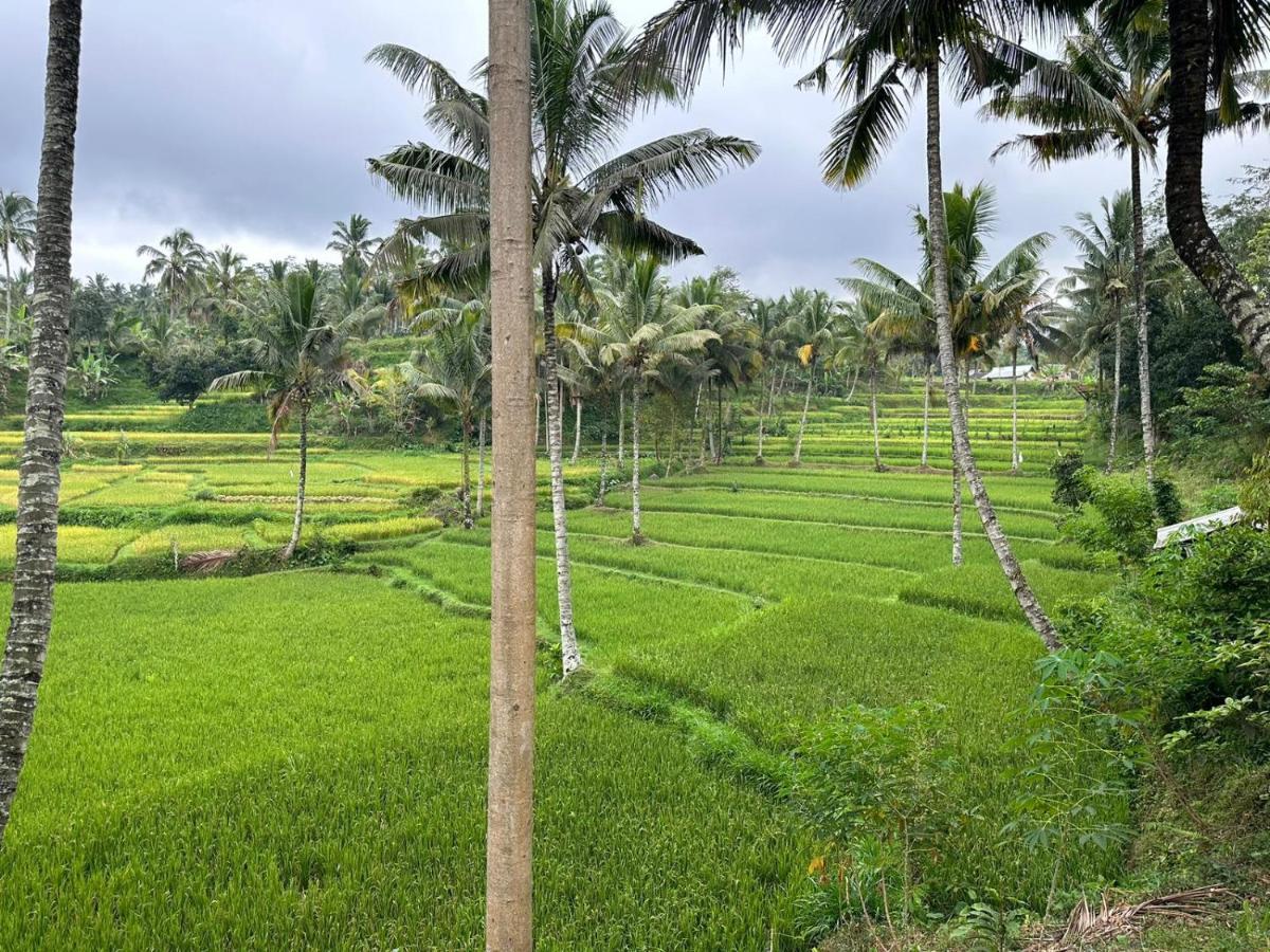Mysha Guest House-Lombok تيتيباتو المظهر الخارجي الصورة